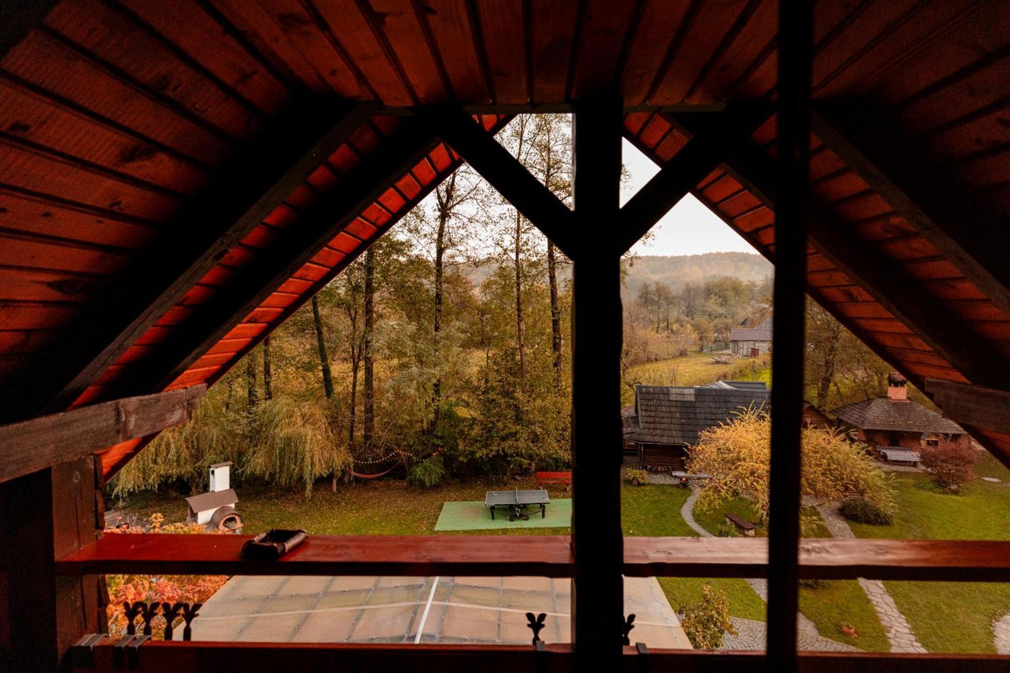 Pensiunea Doina Vadu Izei Bagian luar foto