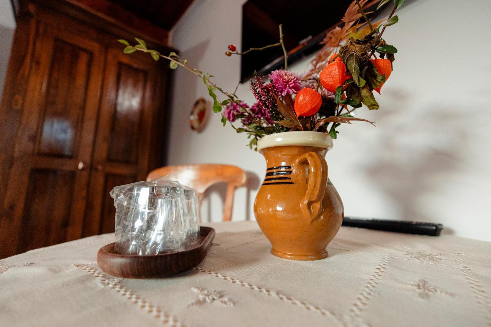 Pensiunea Doina Vadu Izei Bagian luar foto