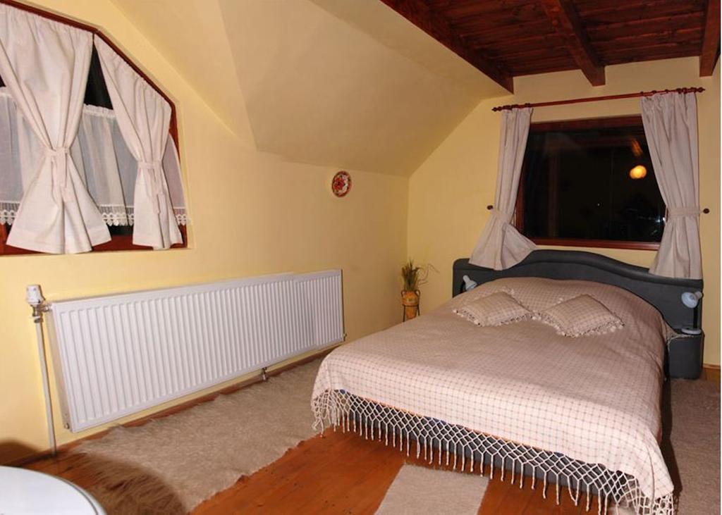 Pensiunea Doina Vadu Izei Ruang foto
