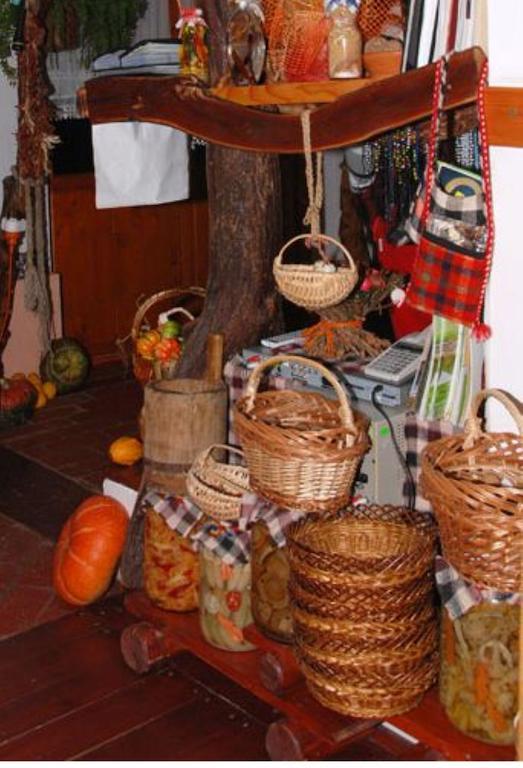 Pensiunea Doina Vadu Izei Bagian luar foto